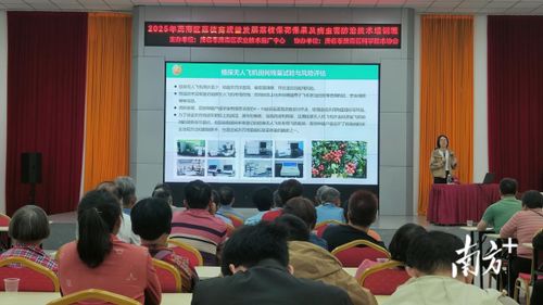 專家支招助力產(chǎn)業(yè)發(fā)展，茂南舉辦荔枝產(chǎn)業(yè)技術(shù)培訓班